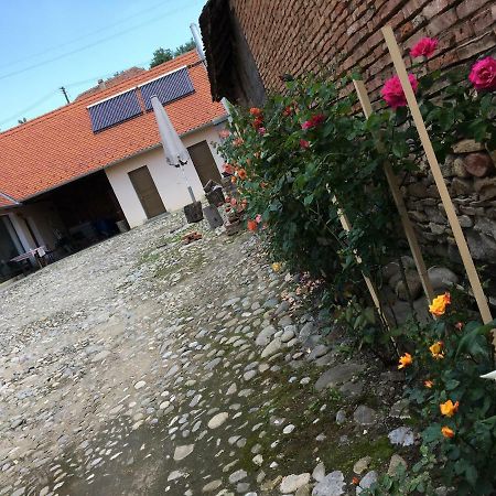 Vila Casa Saseasca Saschiz Exteriér fotografie