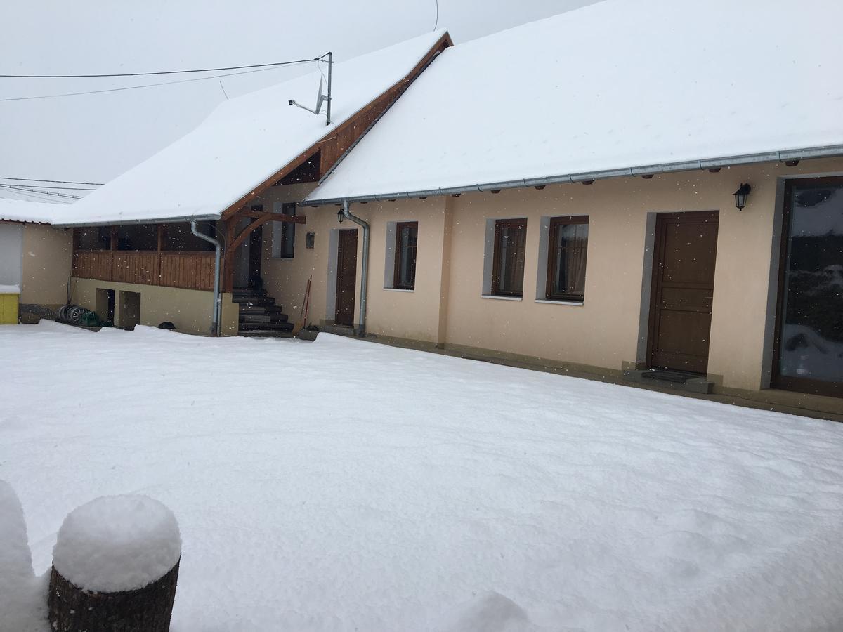 Vila Casa Saseasca Saschiz Exteriér fotografie