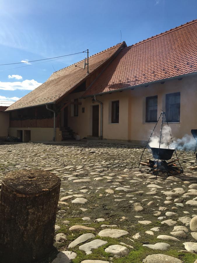 Vila Casa Saseasca Saschiz Exteriér fotografie