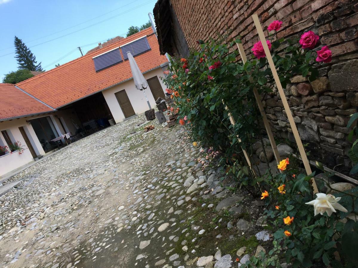 Vila Casa Saseasca Saschiz Exteriér fotografie